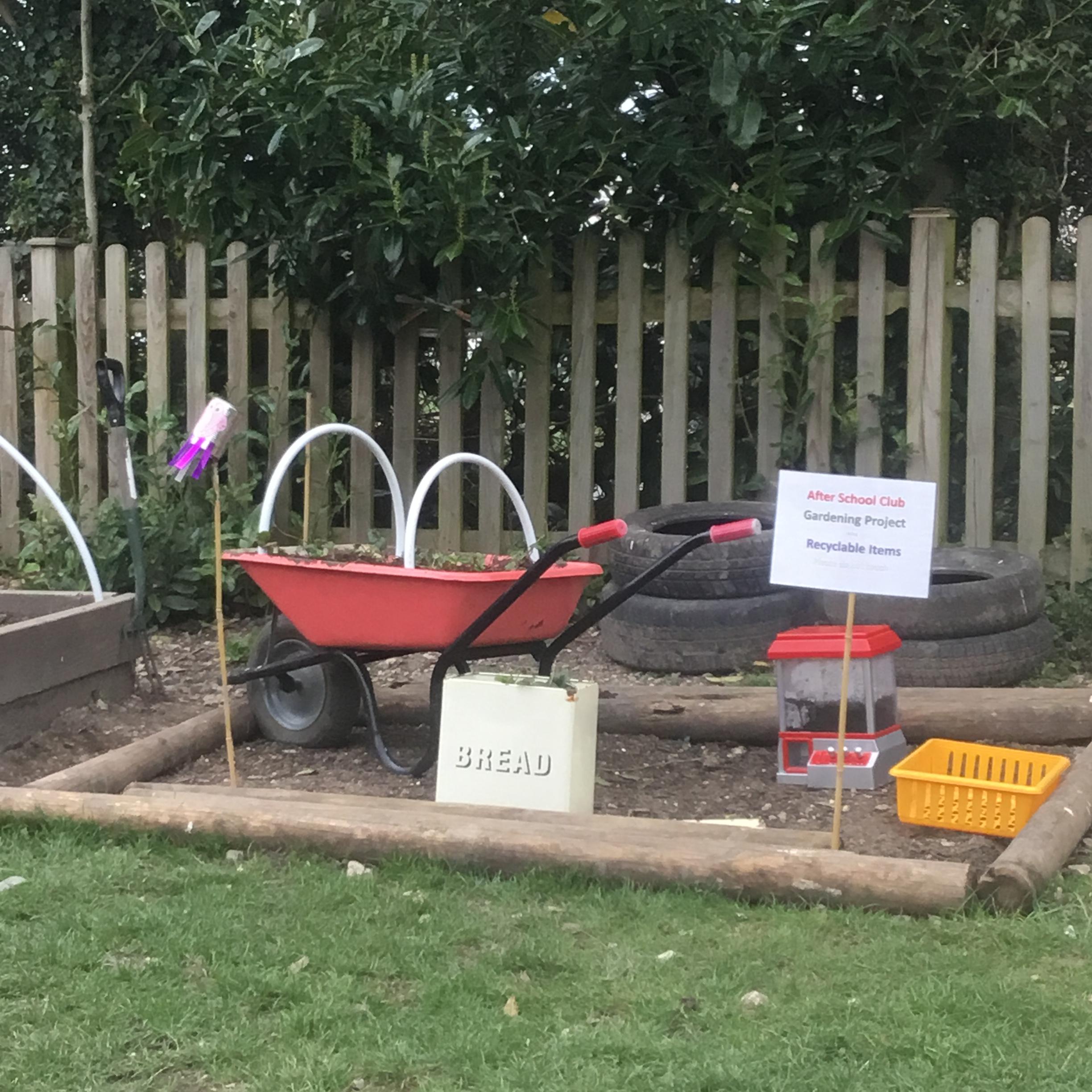 We are growing fruit and vegetables in recycled items. What do you think were growing?